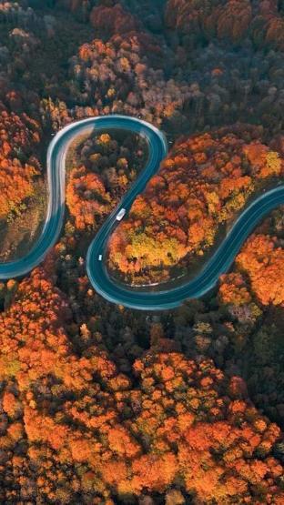 Domaniç Dağlarına uzanan kıvrımlı yollarda sonbahar manzarası