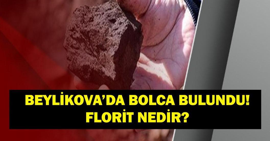 Beylikovada bolca florit bulundu Cumhurbaşkanı Erdoğandan nadir toprak elementleri açıklaması: Florit başta olmak üzere 694 milyon ton kaynak var