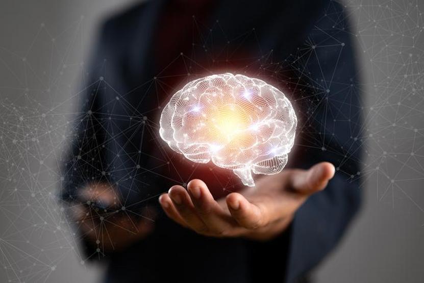 İnsan beynine dair yeni araştırma: Orta yaş düşüş değil, zirve dönemi