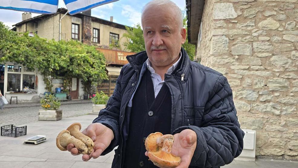 Safranbolunun Ormanlık Alanlarında Yetişiyor Damak Çatlatan Lezzet: Rengi ve Aromasıyla Dikkat Çekiyor Kilosu 500 TL