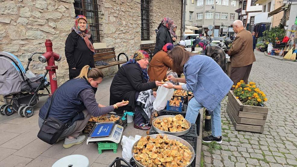 Safranbolunun Ormanlık Alanlarında Yetişiyor Damak Çatlatan Lezzet: Rengi ve Aromasıyla Dikkat Çekiyor Kilosu 500 TL