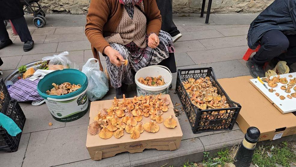 Safranbolunun Ormanlık Alanlarında Yetişiyor Damak Çatlatan Lezzet: Rengi ve Aromasıyla Dikkat Çekiyor Kilosu 500 TL