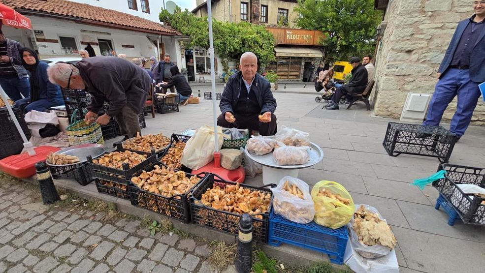 Safranbolunun Ormanlık Alanlarında Yetişiyor Damak Çatlatan Lezzet: Rengi ve Aromasıyla Dikkat Çekiyor Kilosu 500 TL
