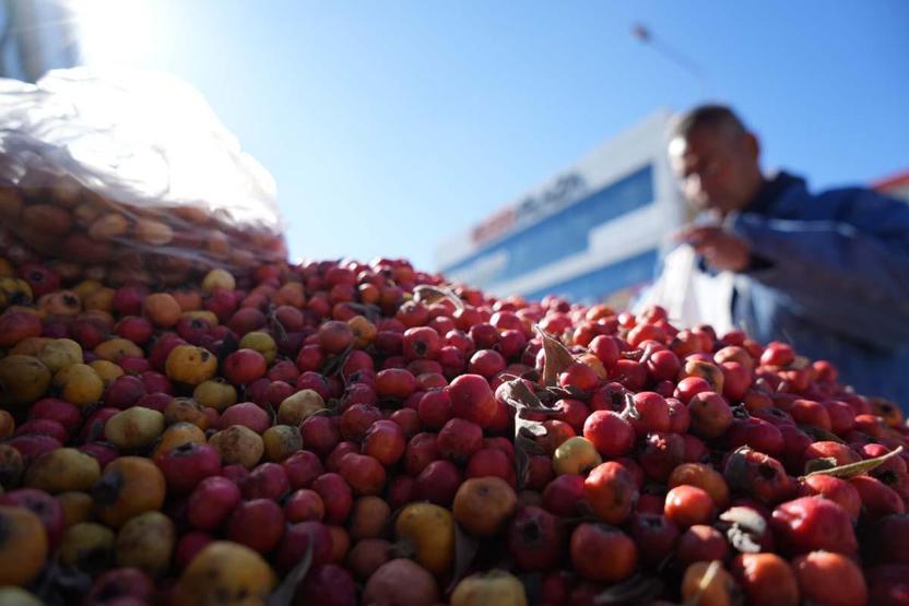 DAĞ BİTKİLERİNDEN GELEN ŞİFA Kalpteki Tüm Damarları Açıyor Böbrek Taşını Bitiriyor... 3 Şifalı Bitkinin Faydaları Say Say Bitmiyor