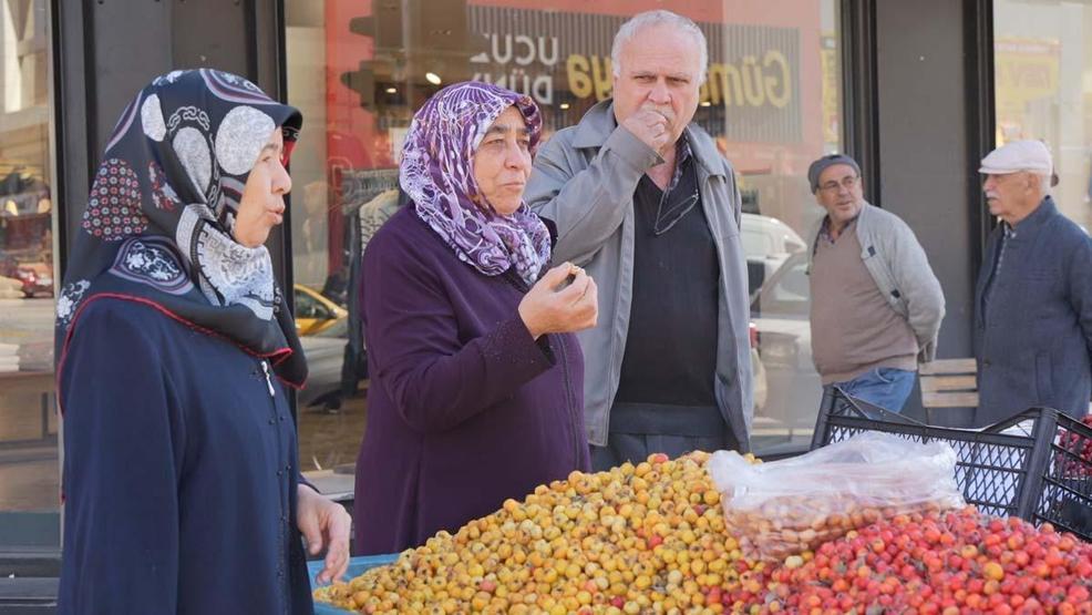 DAĞ BİTKİLERİNDEN GELEN ŞİFA Kalpteki Tüm Damarları Açıyor Böbrek Taşını Bitiriyor... 3 Şifalı Bitkinin Faydaları Say Say Bitmiyor