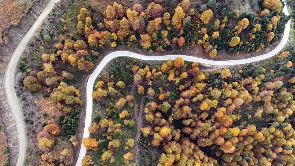 TABLO GİBİ Gören Hayran Kalıyor Yedigöller Milli Parkında Sonbahar Güzelliği