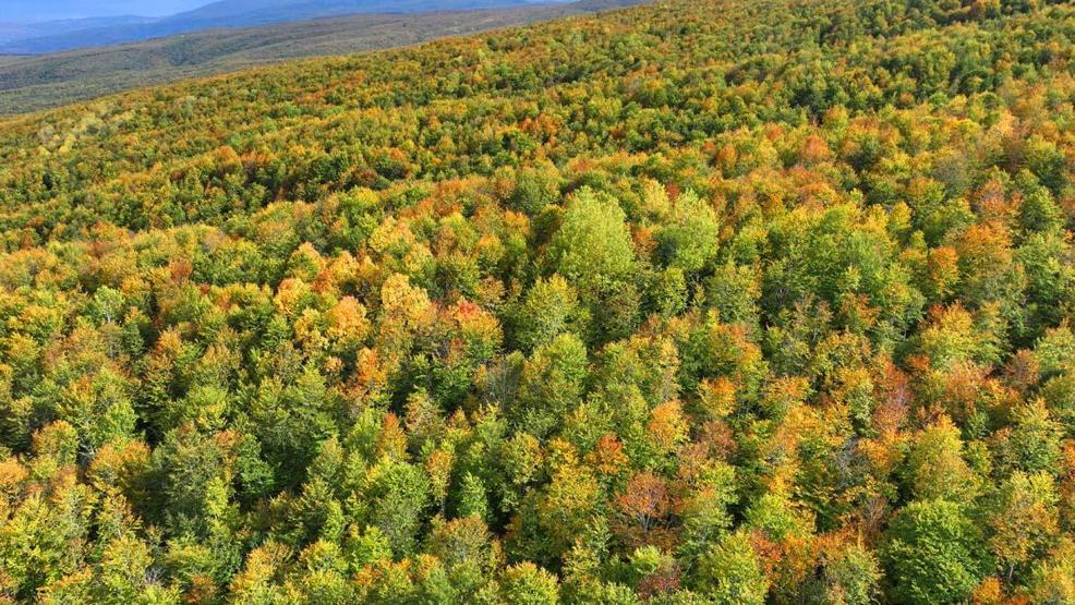 Tokat’ta sonbaharın güzelliği havadan görüntülendi