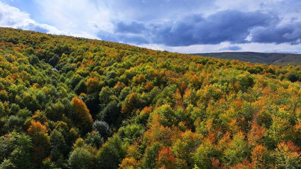 Tokat’ta sonbaharın güzelliği havadan görüntülendi