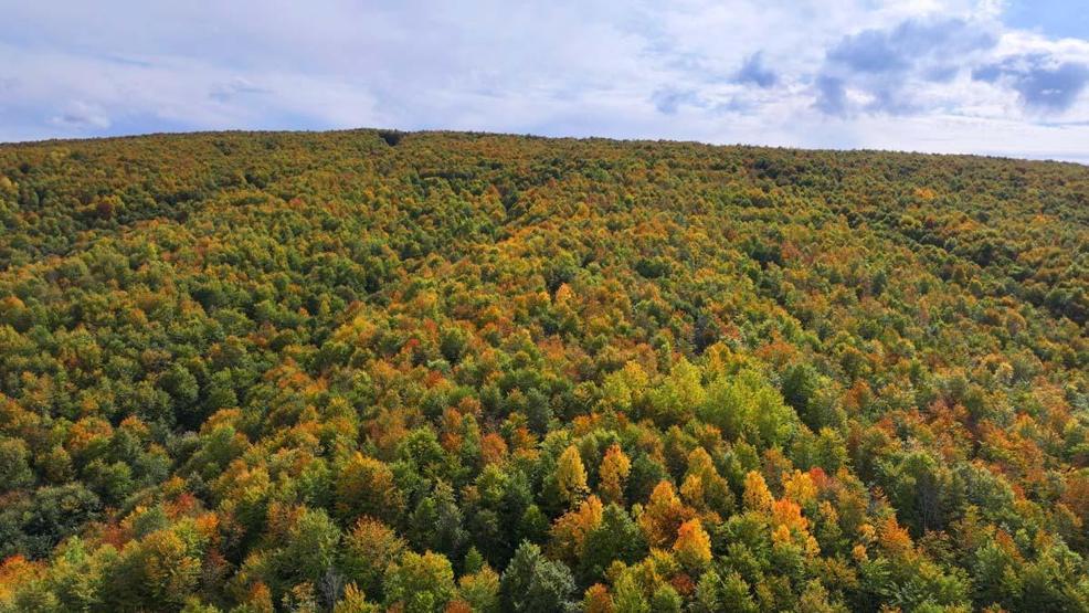 Tokat’ta sonbaharın güzelliği havadan görüntülendi