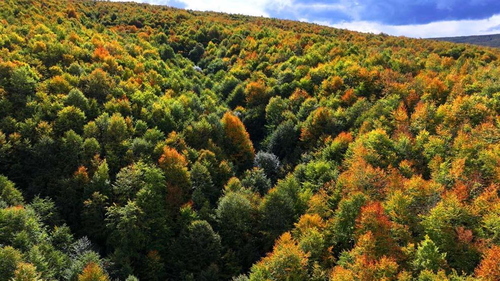 Tokat’ta sonbaharın güzelliği havadan görüntülendi