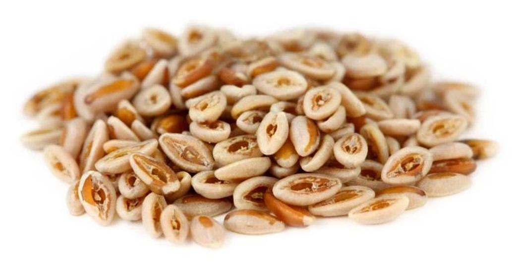 KABIZLIĞA KÖKTEN ÇÖZÜM En Güçlü Etkilerden Biri Ortaya Çıktı... Bağırsak Hareketlerini Düzenliyor, Sindirimi Hızlandırıyor