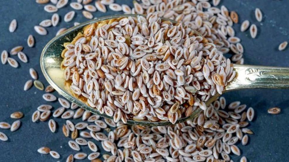 KABIZLIĞA KÖKTEN ÇÖZÜM En Güçlü Etkilerden Biri Ortaya Çıktı... Bağırsak Hareketlerini Düzenliyor, Sindirimi Hızlandırıyor