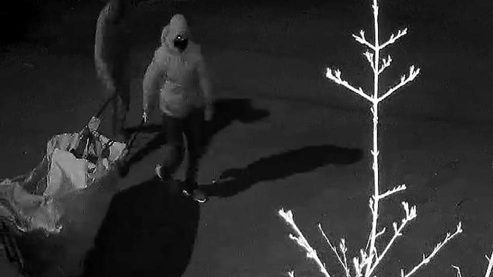 Hırsızın ummadığı sonu: İç çamaşırındaki DNA ele verdi