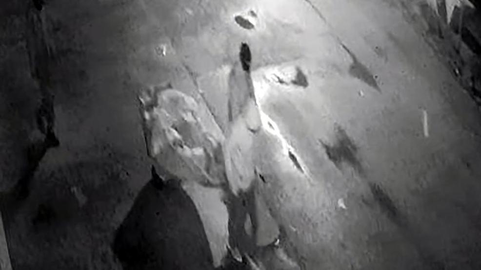 Hırsızın ummadığı sonu: İç çamaşırındaki DNA ele verdi