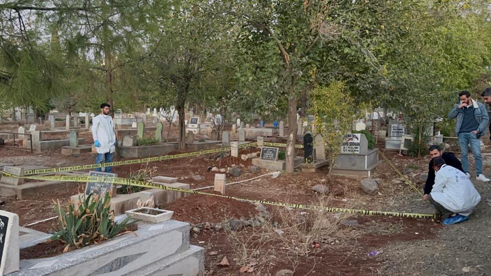 Mezarlık ziyaretine gitti, korkunç manzarayla karşılaştı Köpekler parçalamasın diye toprağa gömdü