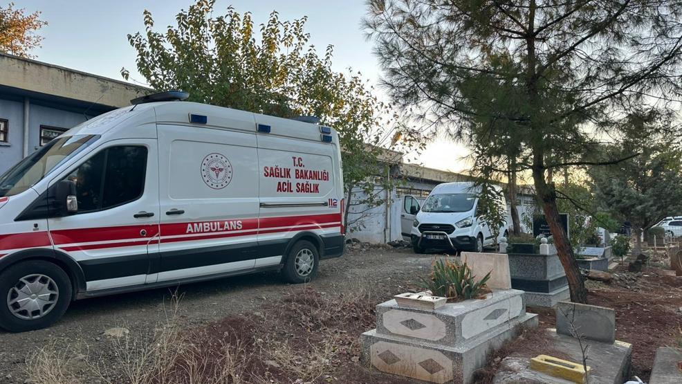 Mezarlık ziyaretine gitti, korkunç manzarayla karşılaştı Köpekler parçalamasın diye toprağa gömdü