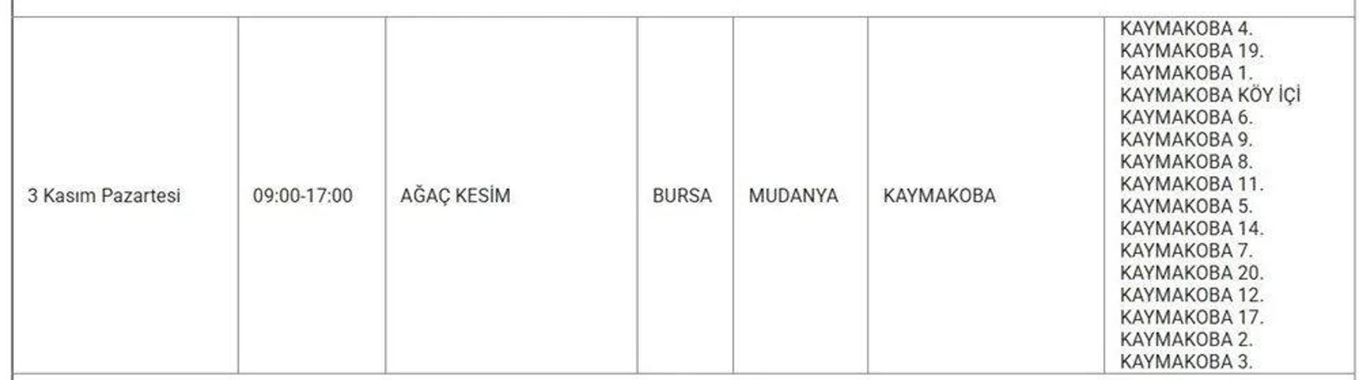 UEDAŞ BURSA ELEKTRİK KESİNTİSİ 3 KASIM: Bursada Elektrikler Ne Zaman Gelecek Hangi İlçelerde Elektrik Yok