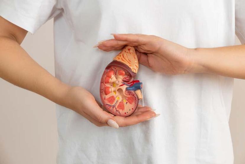 Türkiyede yaklaşık 33 bin hasta organ nakli bekliyor