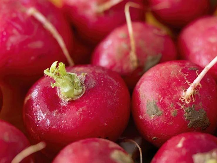 En Güçlü Doğal Antibiyotik Karaciğeri Temizliyor, Toksinleri Vücuttan Atıyor... Çiğ Tüketildiğinde Metabolizmayı Adeta Uçuruyor