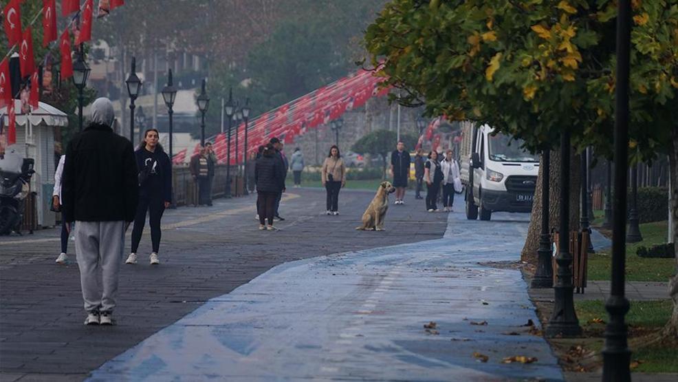 Saat 09.05te hayat durdu: Tüm Türkiye Büyük Önder Mustafa Kemal Atatürkü andı