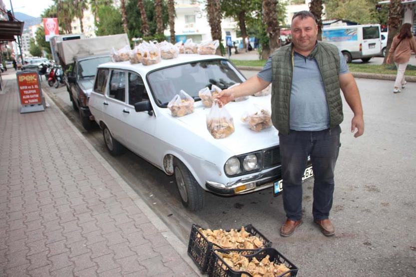 Ormanda sağanak yağmur altında kendiliğinden yetişiyor, kilogramı 350 TLden satılıyor