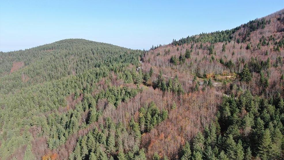 Huriye Helvacı ve 5 yaşındaki oğlu Osmanın cansız bedeni nasıl bulundu Şoke eden kuzgun detayı: Boşuna dolaşmazlar