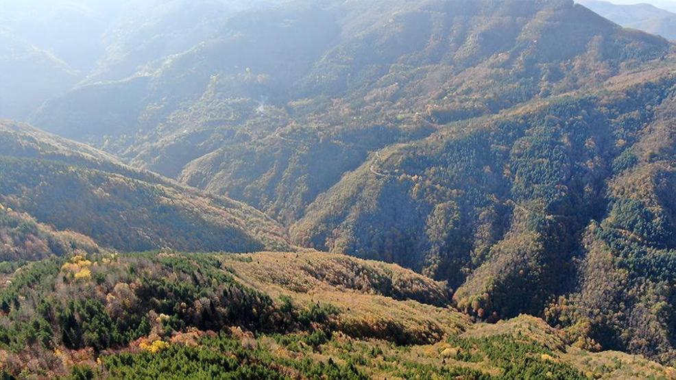 Huriye Helvacı ve 5 yaşındaki oğlu Osmanın cansız bedeni nasıl bulundu Şoke eden kuzgun detayı: Boşuna dolaşmazlar