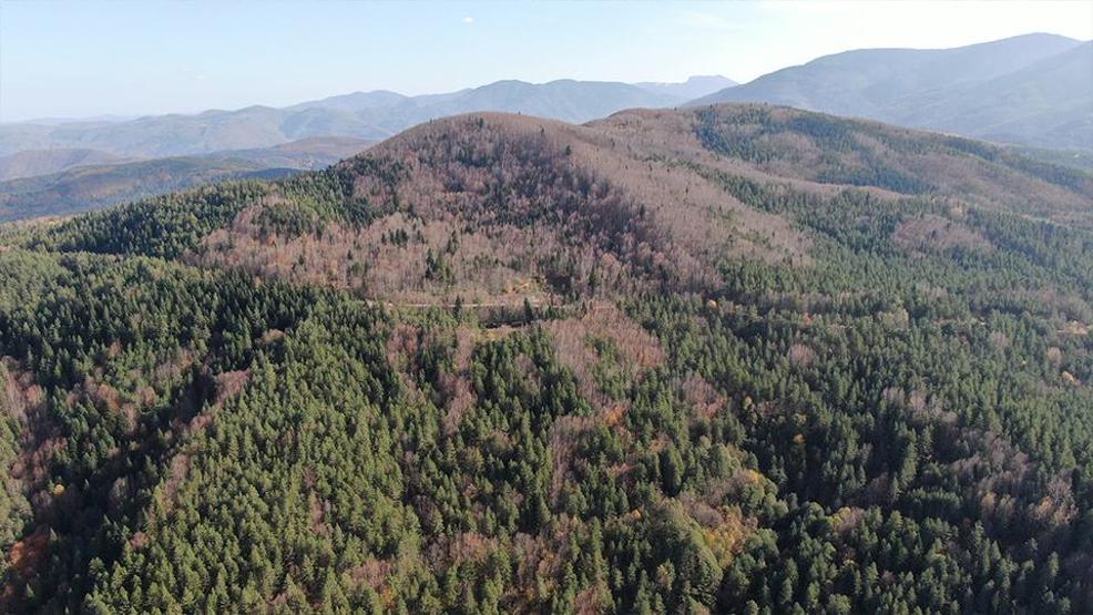 Huriye Helvacı ve 5 yaşındaki oğlu Osmanın cansız bedeni nasıl bulundu Şoke eden kuzgun detayı: Boşuna dolaşmazlar