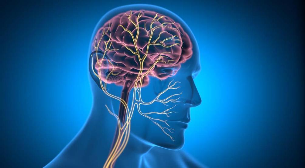 Doğal ağrı kesme mekanizması keşfedildi