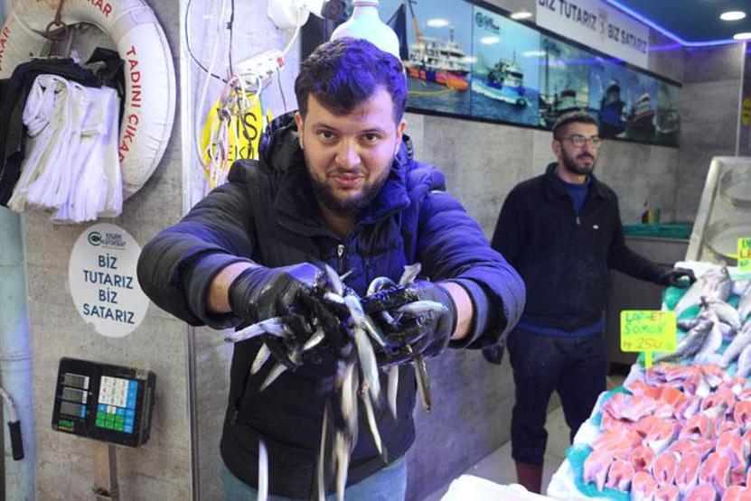 Balık tezgahları hamsi ile doldu