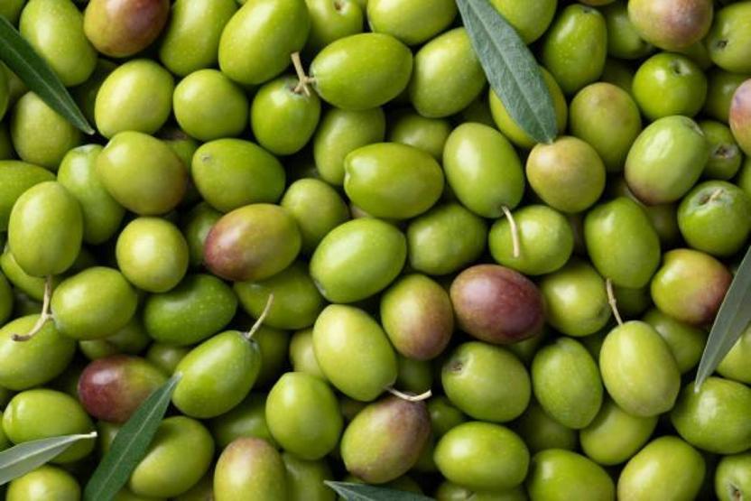 Zeytin küflenmesin diye altın yöntem Aylarca taptaze kalıyor, bozulmayı tamamen önlüyor