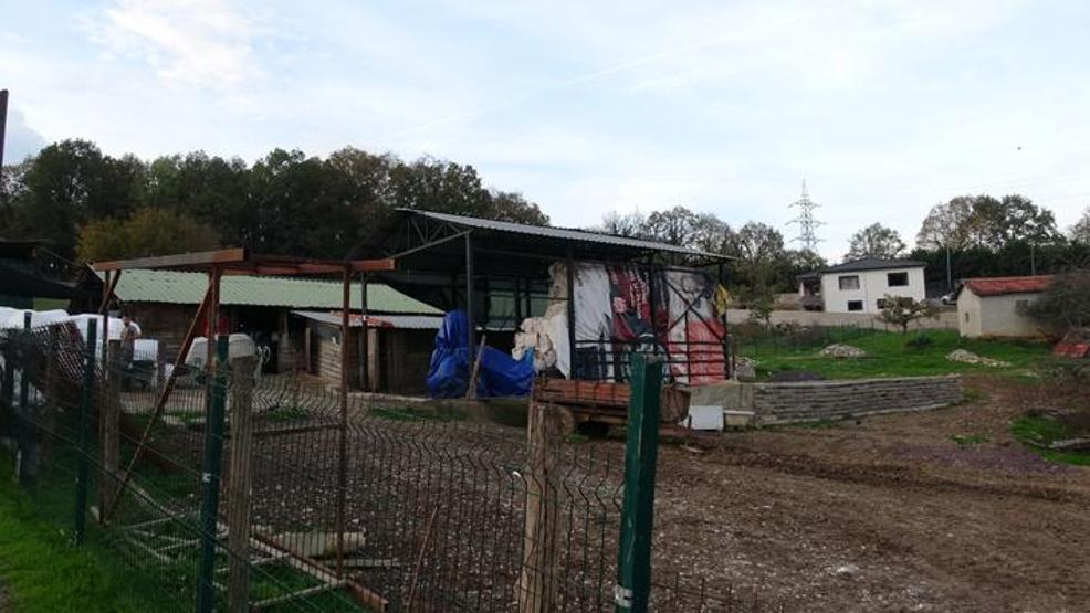 İstanbulda şap alarmı: 3 köy karantinada, 18 mahalle gözetim altında