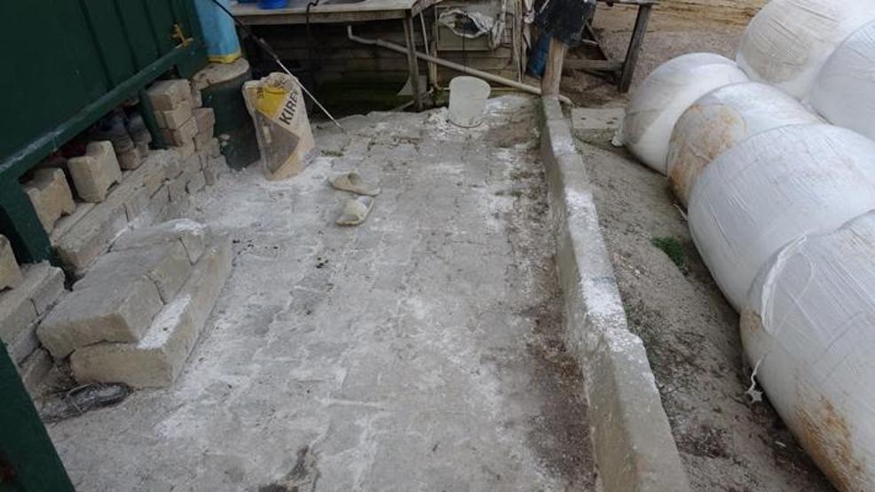 İstanbulda şap alarmı: 3 köy karantinada, 18 mahalle gözetim altında