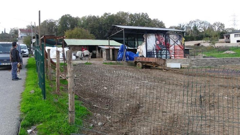 İstanbulda şap alarmı: 3 köy karantinada, 18 mahalle gözetim altında