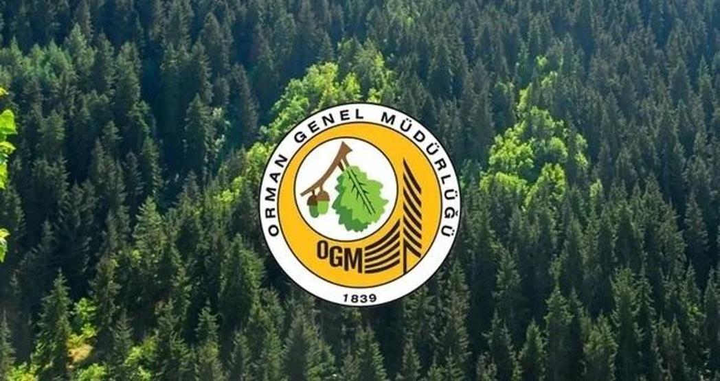 ORMAN GENEL MÜDÜRLÜĞÜ PERSONEL ALIMI 2025 | 496 Orman Genel Müdürlüğü personel alımı ne zaman, Lisans – ön lisans - ortaöğretim OGM başvuru şartları neler