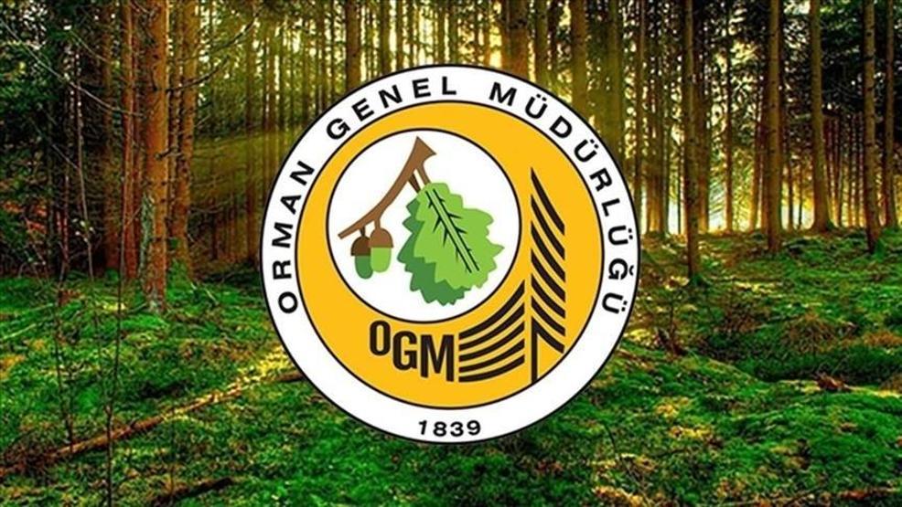 ORMAN GENEL MÜDÜRLÜĞÜ PERSONEL ALIMI 2025 | 496 Orman Genel Müdürlüğü personel alımı ne zaman, Lisans – ön lisans - ortaöğretim OGM başvuru şartları neler