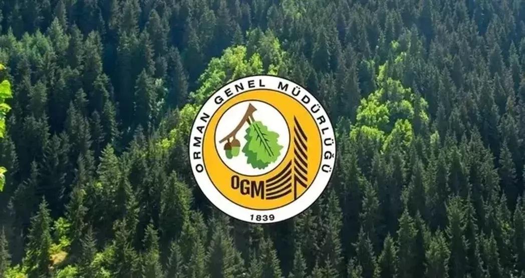 496 OGM PERSONEL ALIMI 2025 BAŞVURU EKRANI Lisans, ön lisans, ortaöğretim mezunları OGM personel alımı başvuru şartları nedir, nasıl başvurulur