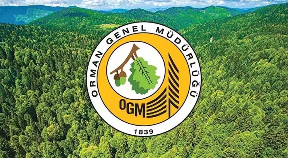 496 OGM PERSONEL ALIMI 2025 BAŞVURU EKRANI Lisans, ön lisans, ortaöğretim mezunları OGM personel alımı başvuru şartları nedir, nasıl başvurulur