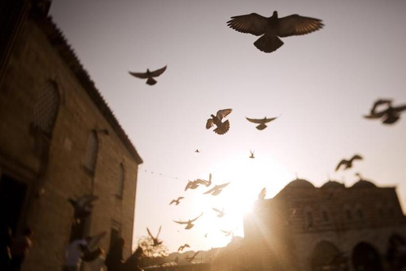 RESİMLİ CUMA MESAJLARI VE HAYIRLI CUMALAR SÖZLERİ 28 KASIM 2025 | Anne, baba, eş, sevgili ve arkadaş için ayetli, dualı, hadisli, resimli cuma mesajları