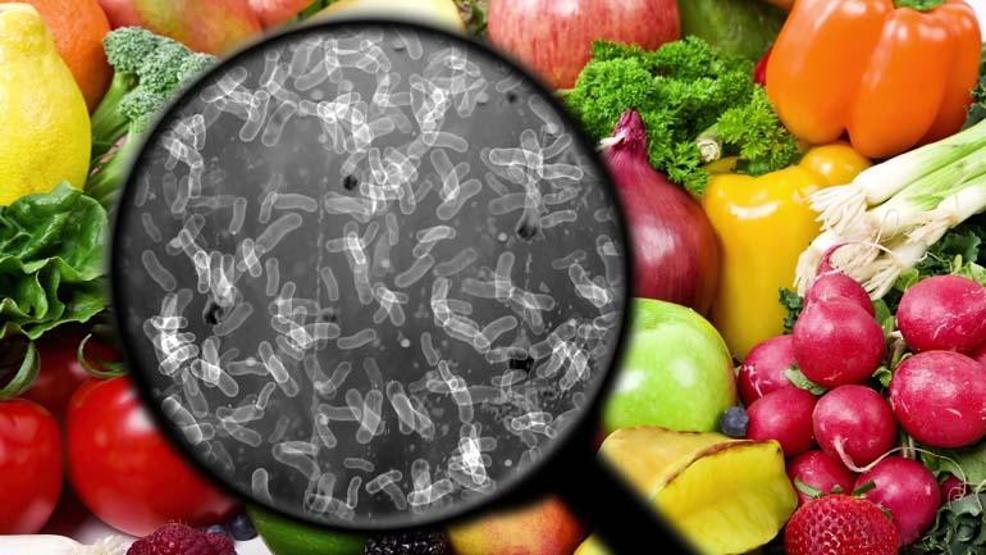 Hangi bakteri hangi besinden bulaşır