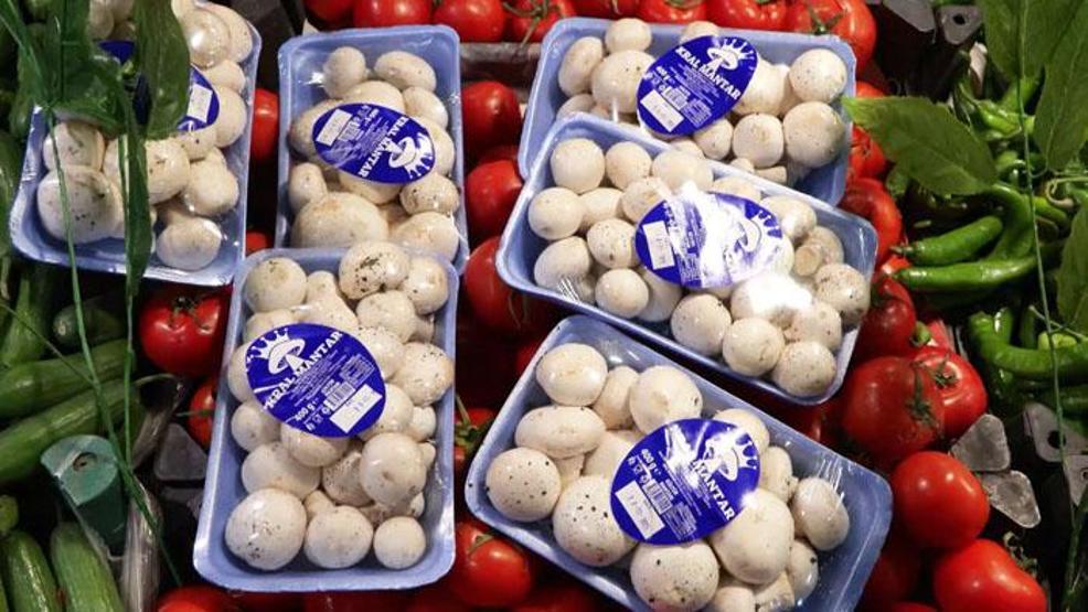 1 ayda 60 kişiyi zehirledi Tehlikenin ismi: Ölüm meleği | Yok edici