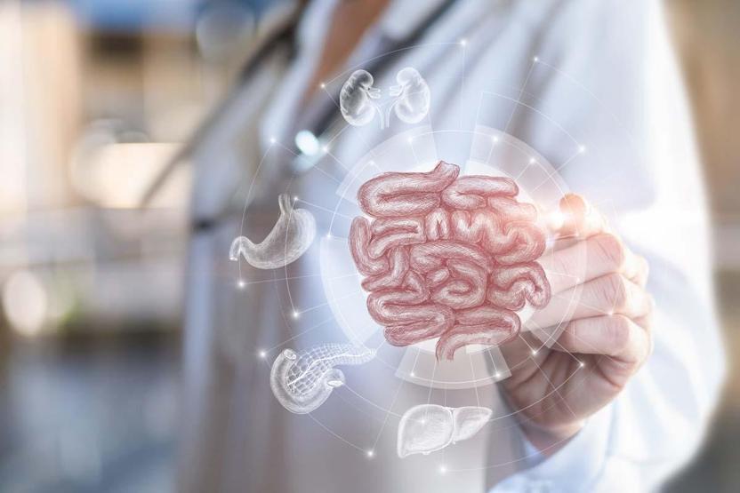 Huzursuz Bağırsakların Nedeni D Vitamini Eksikliği Olabilir Karın Şişliği, Gaz, İshal ya da Kabızlık, Kramp Gibi Belirtiler Başladıysa Sebebi Bu Sendrom Olabilir İşte Bağırsak Dostu Besinler