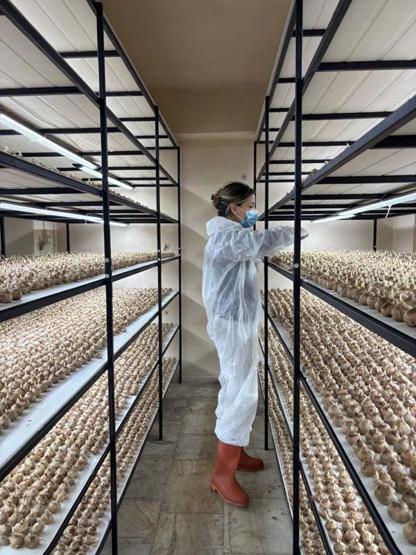 SAYISIZ FAYDASI VAR Tansiyonu Dengeliyor, Kanserle Savaşıyor Mesleğini Bırakıp Üretimine Başladı... Gramı Tam 700 TLden Satılıyor