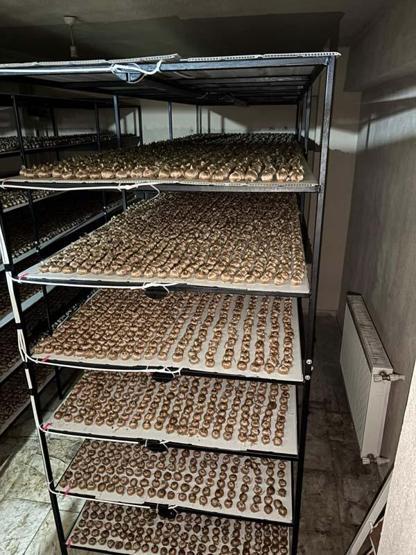 SAYISIZ FAYDASI VAR Tansiyonu Dengeliyor, Kanserle Savaşıyor Mesleğini Bırakıp Üretimine Başladı... Gramı Tam 700 TLden Satılıyor