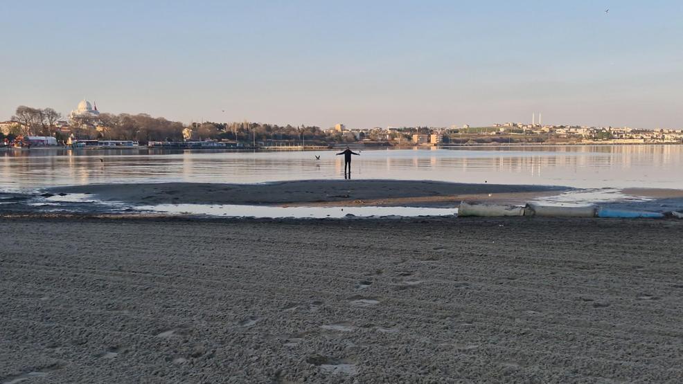 Tekirdağda tedirgin eden görüntü En son 3 yıl önce olmuştu