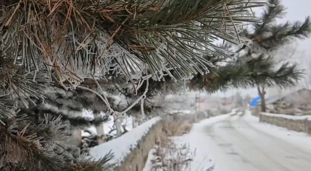 Eksi 20 derece soğukla mücadele: Göle’de hayat buz kesti