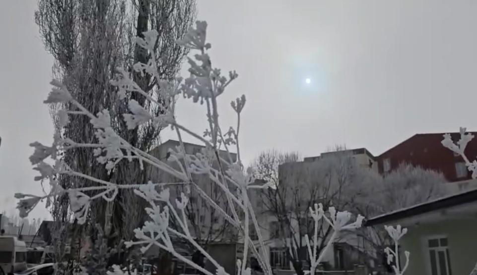 Eksi 20 derece soğukla mücadele: Göle’de hayat buz kesti