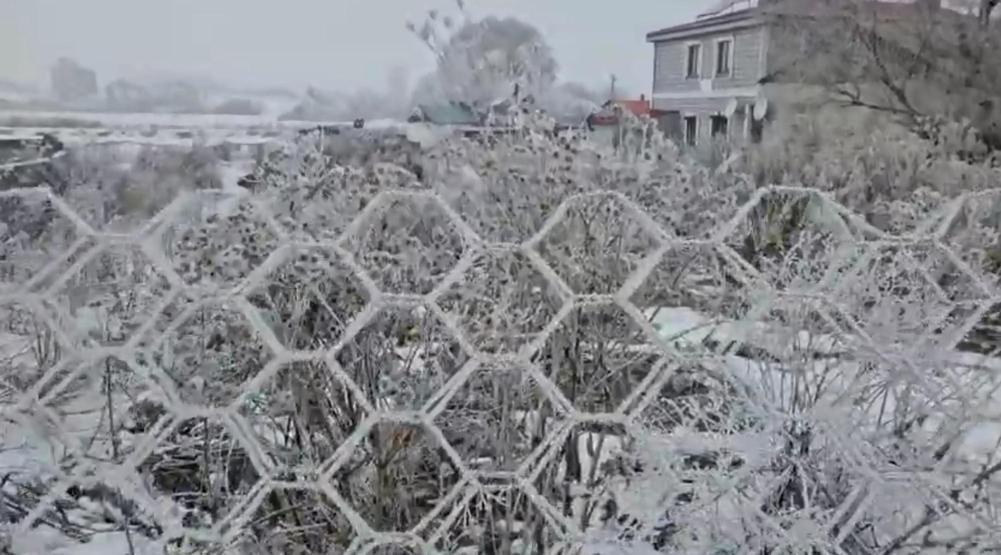 Eksi 20 derece soğukla mücadele: Göle’de hayat buz kesti