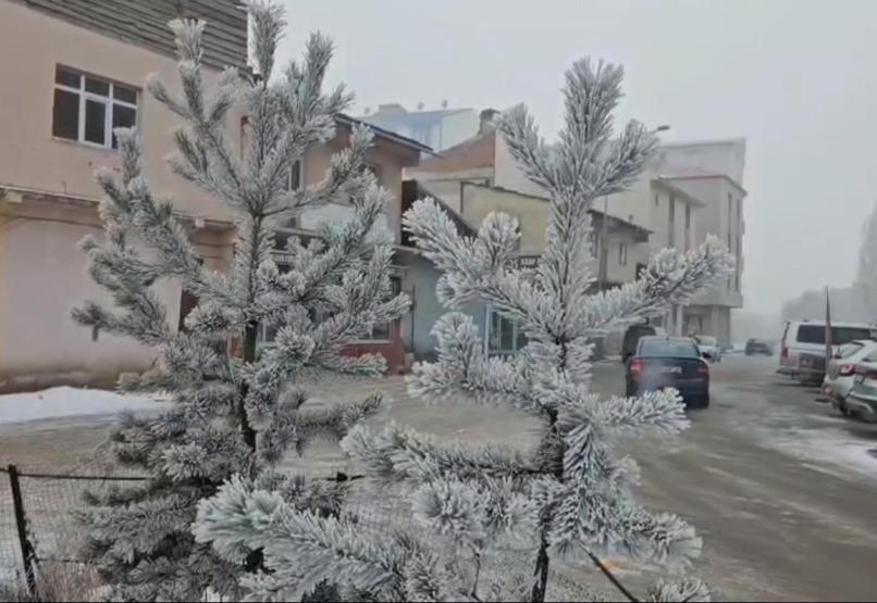 Eksi 20 derece soğukla mücadele: Göle’de hayat buz kesti