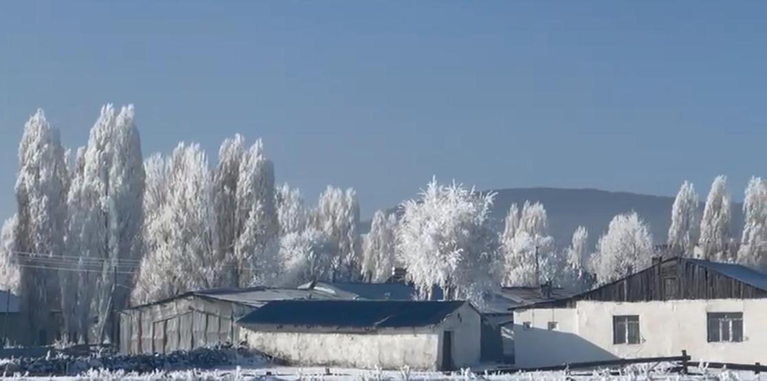 Eksi 20 derece soğukla mücadele: Göle’de hayat buz kesti